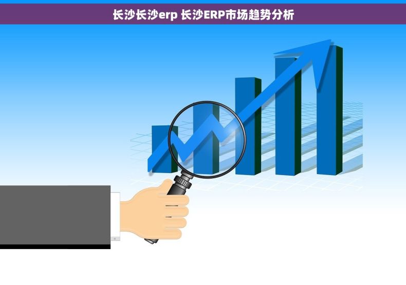 长沙长沙erp 长沙ERP市场趋势分析
