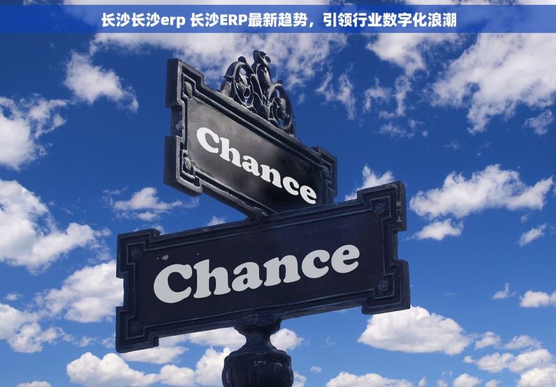长沙长沙erp 长沙ERP最新趋势，引领行业数字化浪潮