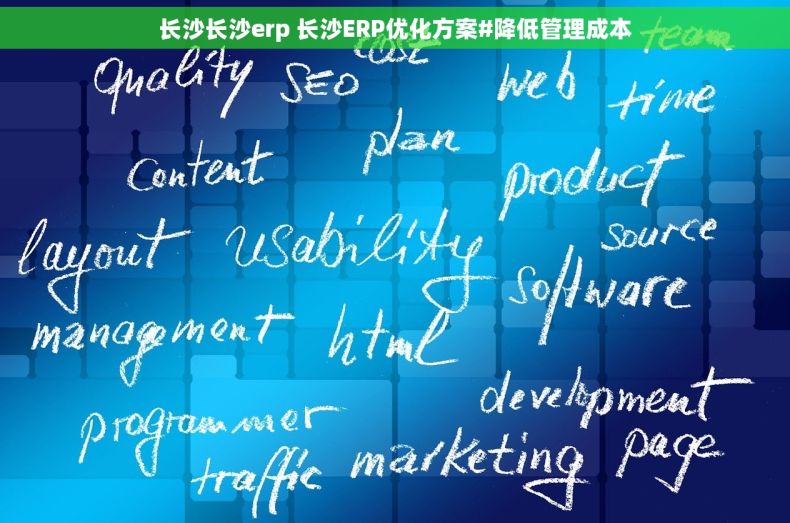 长沙长沙erp 长沙ERP优化方案#降低管理成本