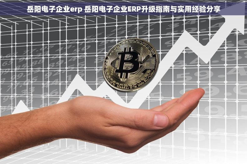岳阳电子企业erp 岳阳电子企业ERP升级指南与实用经验分享