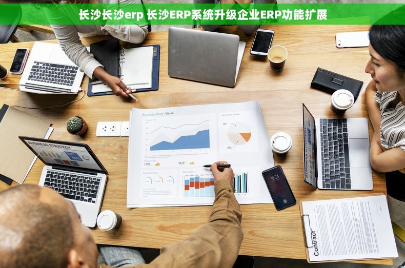 长沙长沙erp 长沙ERP系统升级企业ERP功能扩展