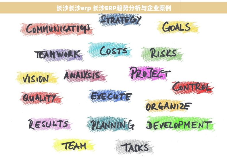 长沙长沙erp 长沙ERP趋势分析与企业案例