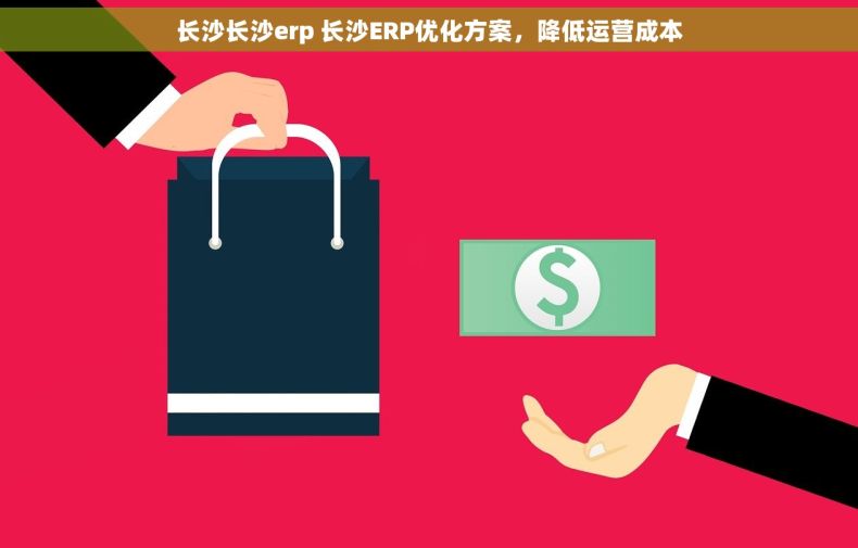 长沙长沙erp 长沙ERP优化方案，降低运营成本