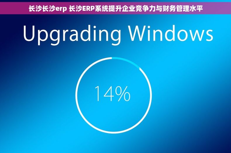长沙长沙erp 长沙ERP系统提升企业竞争力与财务管理水平