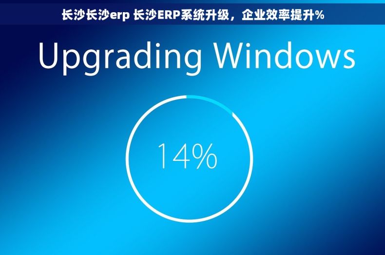长沙长沙erp 长沙ERP系统升级，企业效率提升%