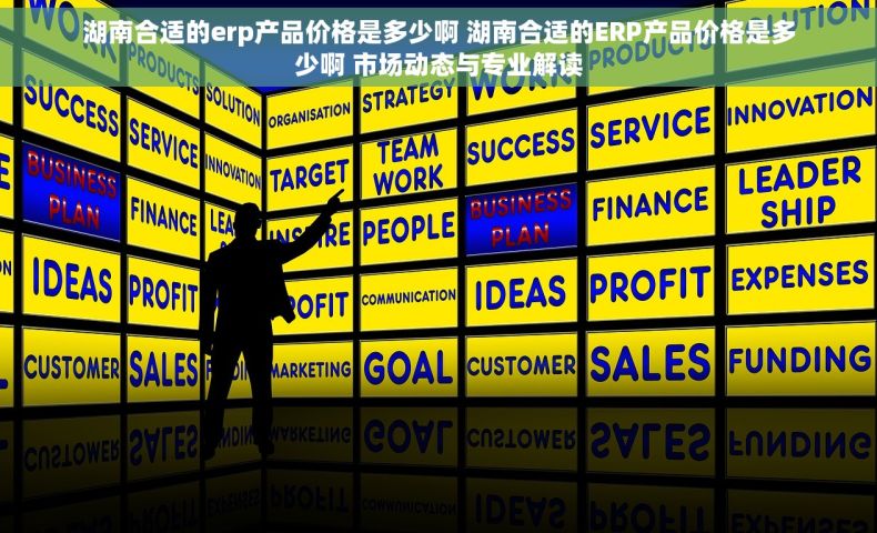 湖南合适的erp产品价格是多少啊 湖南合适的ERP产品价格是多少啊 市场动态与专业解读