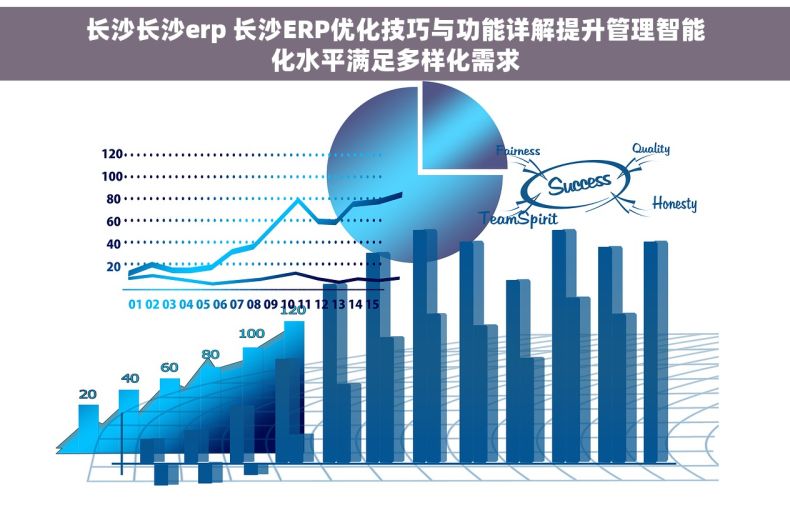 长沙长沙erp 长沙ERP优化技巧与功能详解提升管理智能化水平满足多样化需求