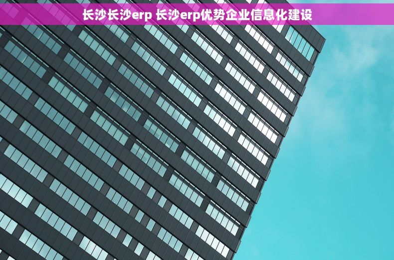 长沙长沙erp 长沙erp优势企业信息化建设