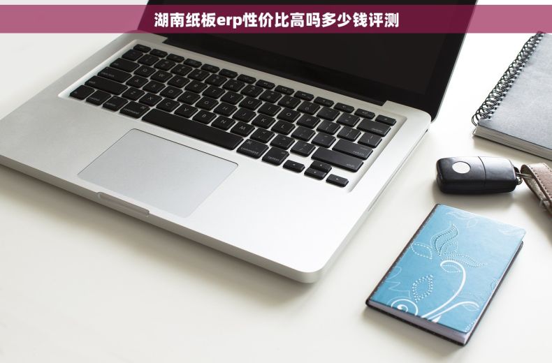 湖南纸板erp性价比高吗多少钱评测