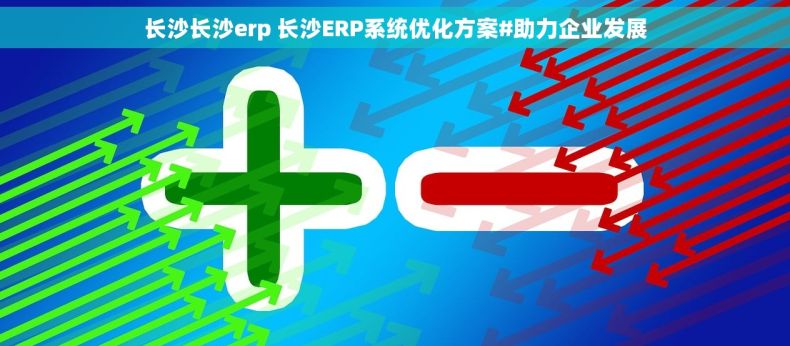 长沙长沙erp 长沙ERP系统优化方案#助力企业发展