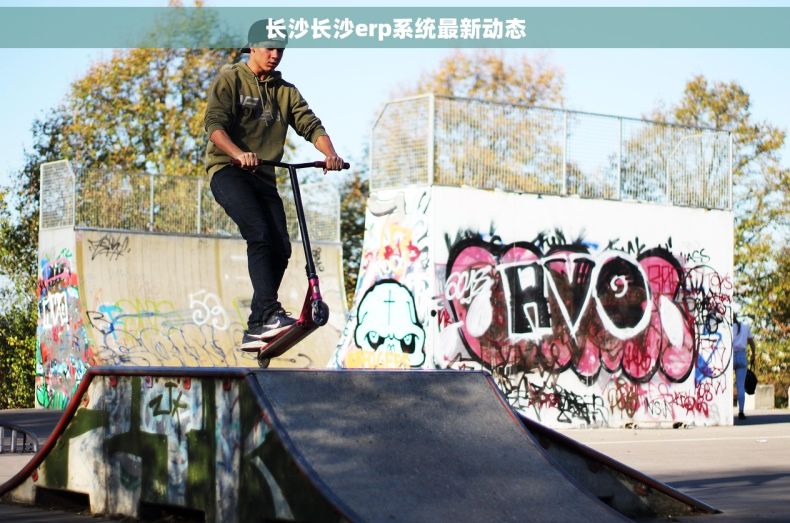 长沙长沙erp系统最新动态