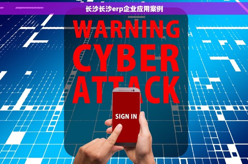长沙长沙erp企业应用案例