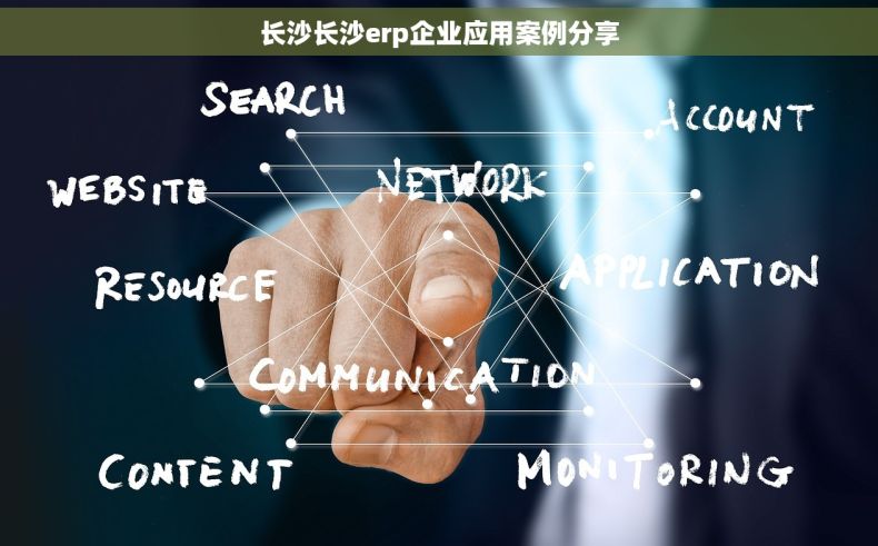长沙长沙erp企业应用案例分享