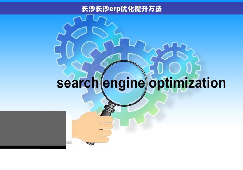 长沙长沙erp优化提升方法
