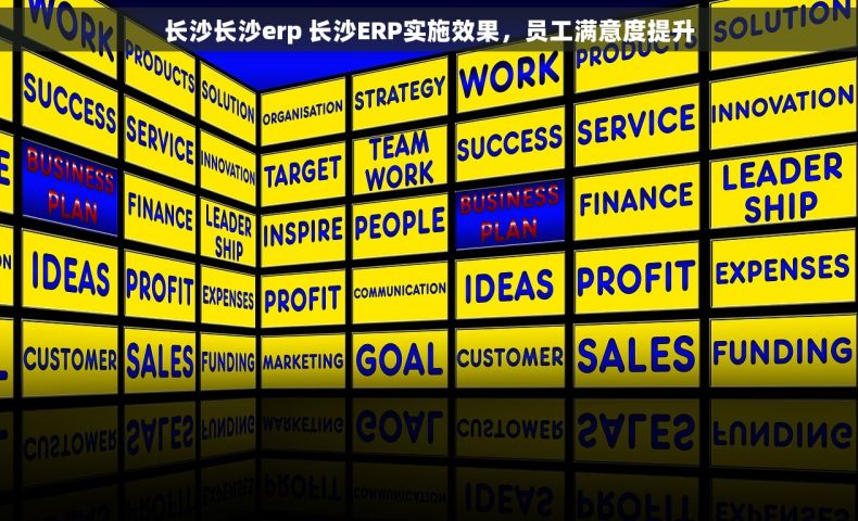 长沙长沙erp 长沙ERP实施效果，员工满意度提升