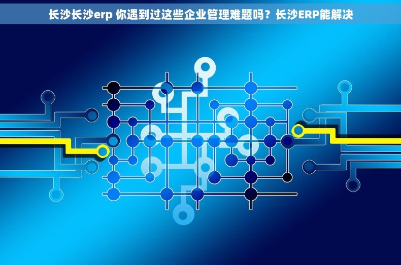 长沙长沙erp 你遇到过这些企业管理难题吗？长沙ERP能解决