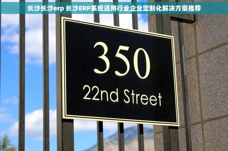长沙长沙erp 长沙ERP系统适用行业企业定制化解决方案推荐