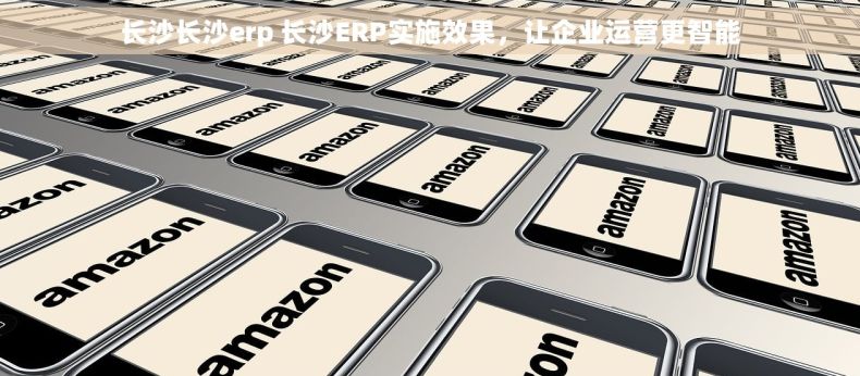 长沙长沙erp 长沙ERP实施效果，让企业运营更智能