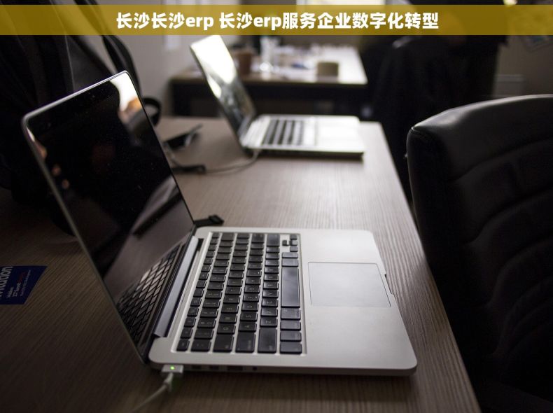 长沙长沙erp 长沙erp服务企业数字化转型