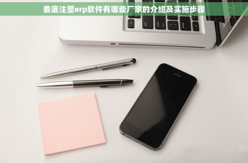 娄底注塑erp软件有哪些厂家的介绍及实施步骤