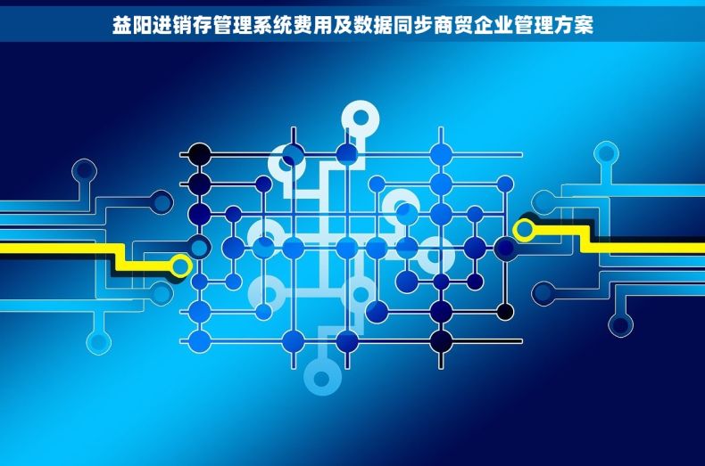益阳进销存管理系统费用及数据同步商贸企业管理方案