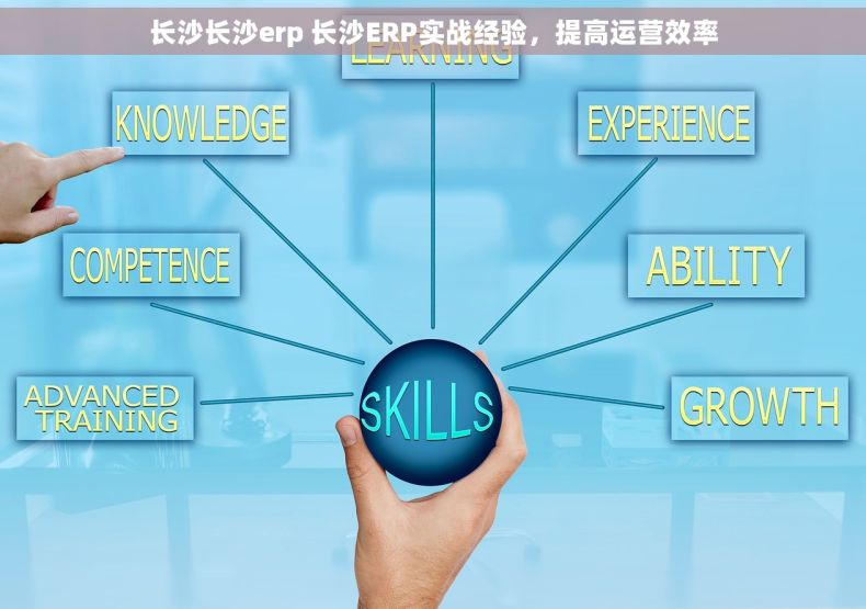 长沙长沙erp 长沙ERP实战经验，提高运营效率