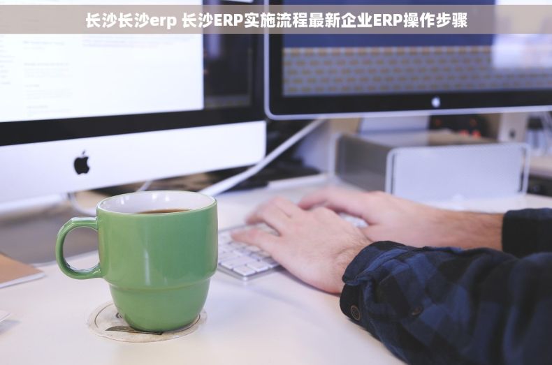 长沙长沙erp 长沙ERP实施流程最新企业ERP操作步骤