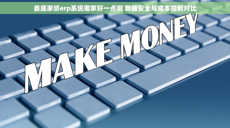 娄底家纺erp系统哪家好一点啊 数据安全与成本控制对比