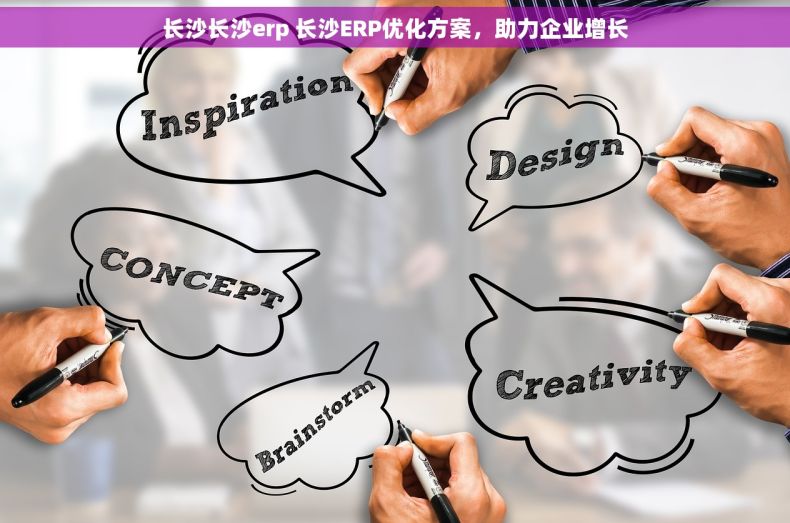 长沙长沙erp 长沙ERP优化方案，助力企业增长