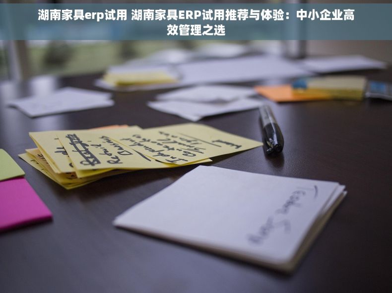 湖南家具erp试用 湖南家具ERP试用推荐与体验：中小企业高效管理之选