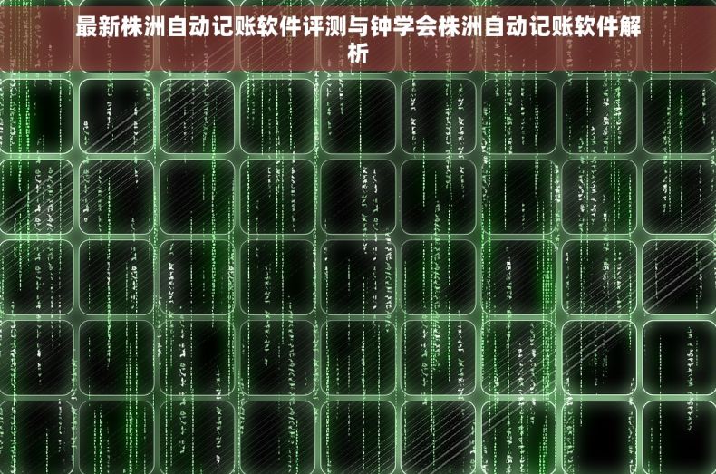 最新株洲自动记账软件评测与钟学会株洲自动记账软件解析