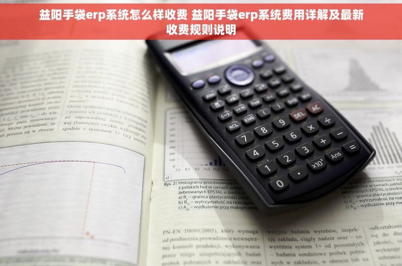 益阳手袋erp系统怎么样收费 益阳手袋erp系统费用详解及最新收费规则说明