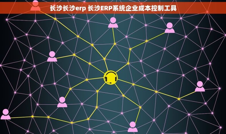 长沙长沙erp 长沙ERP系统企业成本控制工具