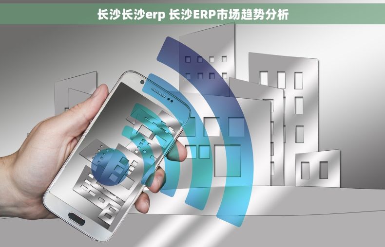 长沙长沙erp 长沙ERP市场趋势分析
