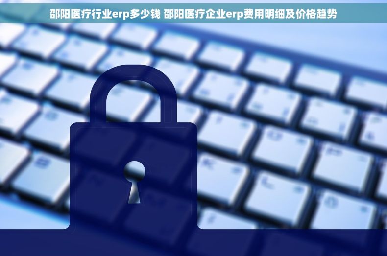 邵阳医疗行业erp多少钱 邵阳医疗企业erp费用明细及价格趋势