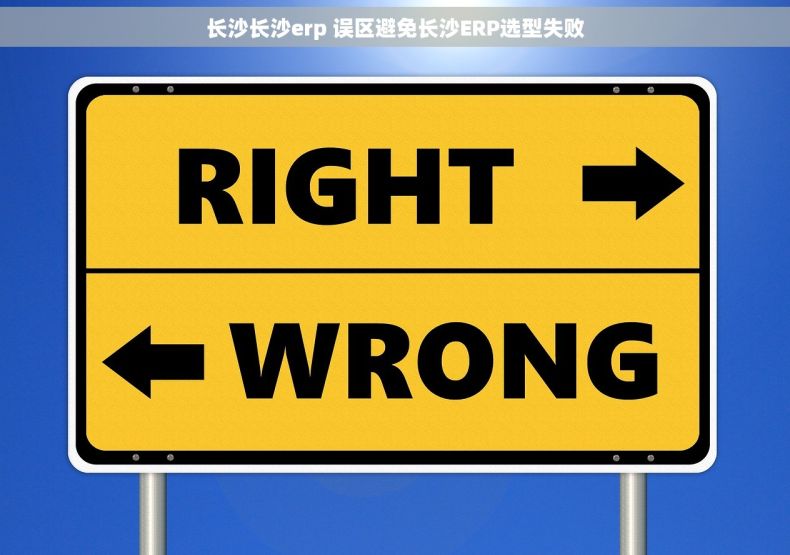 长沙长沙erp 误区避免长沙ERP选型失败