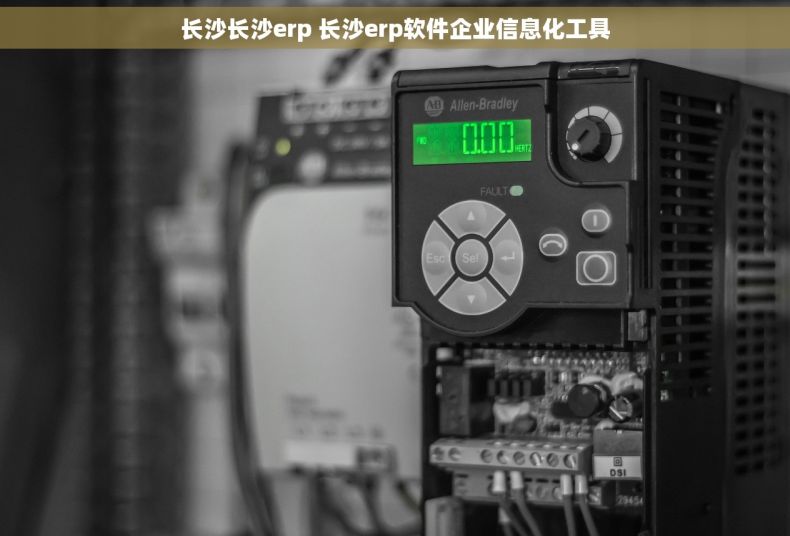 长沙长沙erp 长沙erp软件企业信息化工具