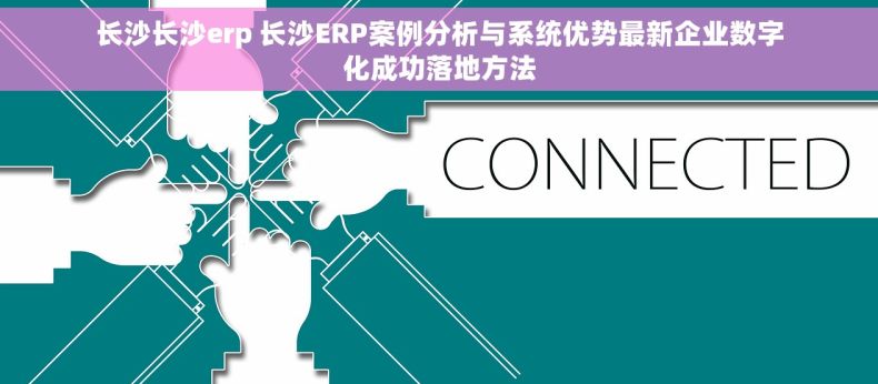 长沙长沙erp 长沙ERP案例分析与系统优势最新企业数字化成功落地方法