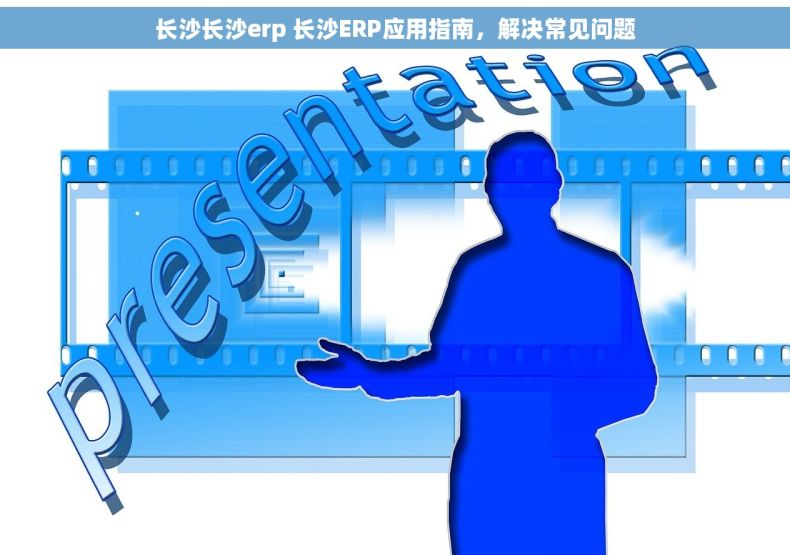 长沙长沙erp 长沙ERP应用指南，解决常见问题