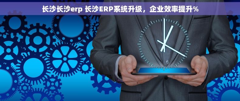 长沙长沙erp 长沙ERP系统升级，企业效率提升%