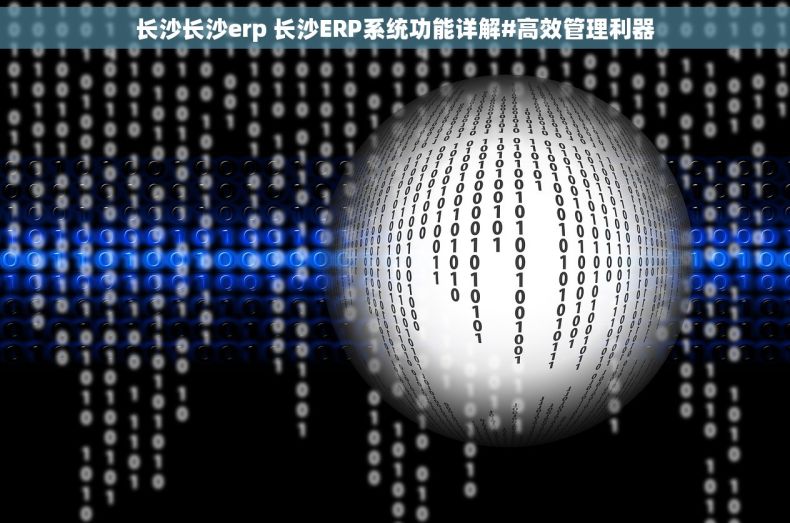 长沙长沙erp 长沙ERP系统功能详解#高效管理利器