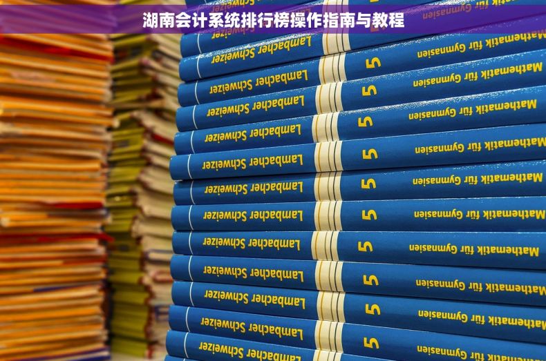 湖南会计系统排行榜操作指南与教程