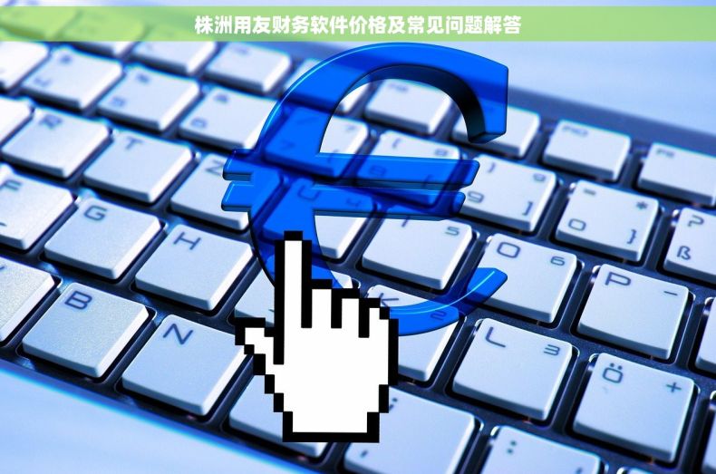 株洲用友财务软件价格及常见问题解答