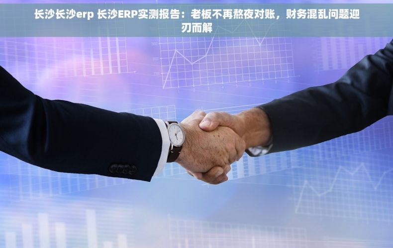 长沙长沙erp 长沙ERP实测报告：老板不再熬夜对账，财务混乱问题迎刃而解