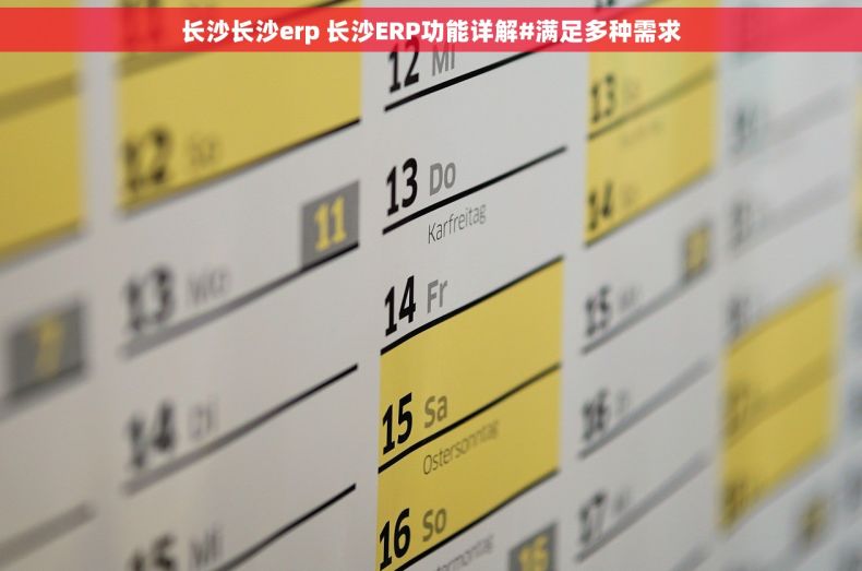 长沙长沙erp 长沙ERP功能详解#满足多种需求