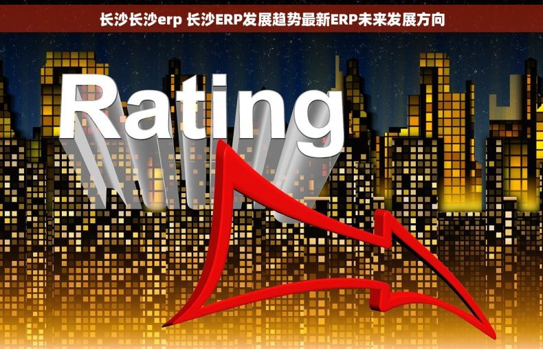 长沙长沙erp 长沙ERP发展趋势最新ERP未来发展方向