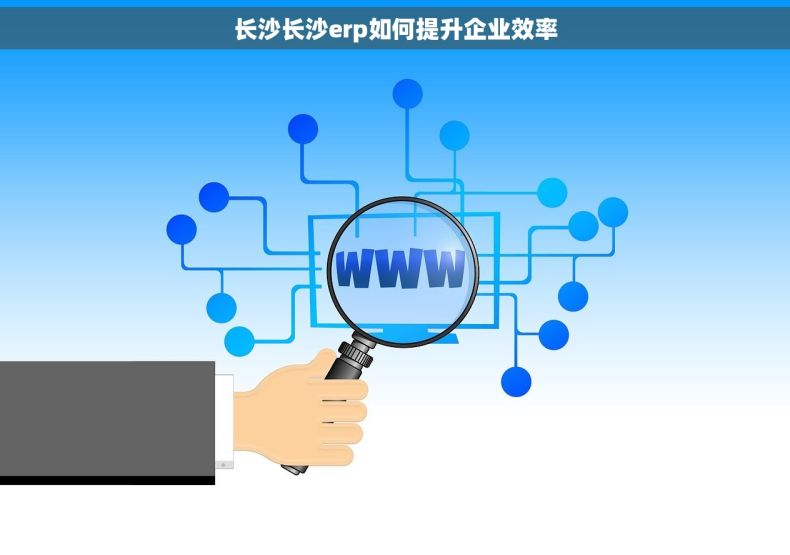 长沙长沙erp如何提升企业效率