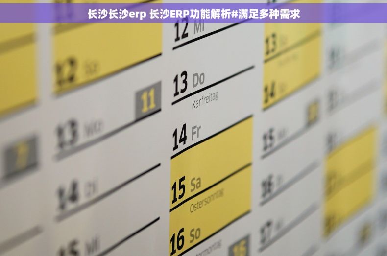 长沙长沙erp 长沙ERP功能解析#满足多种需求
