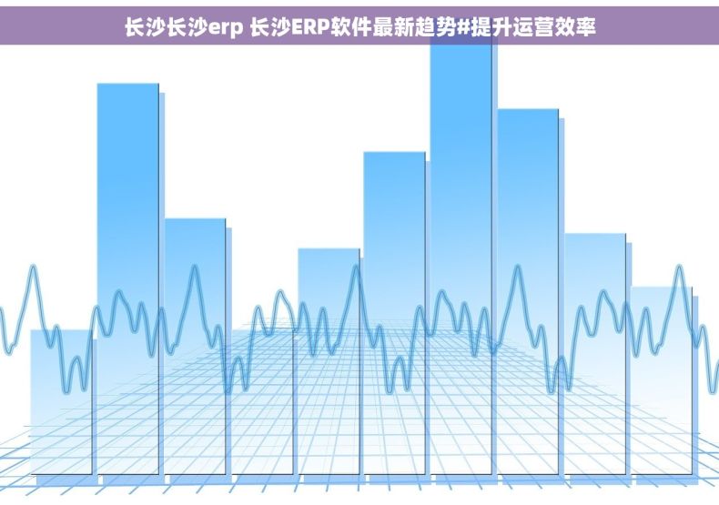 长沙长沙erp 长沙ERP软件最新趋势#提升运营效率