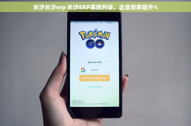 长沙长沙erp 长沙ERP系统升级，企业效率提升%